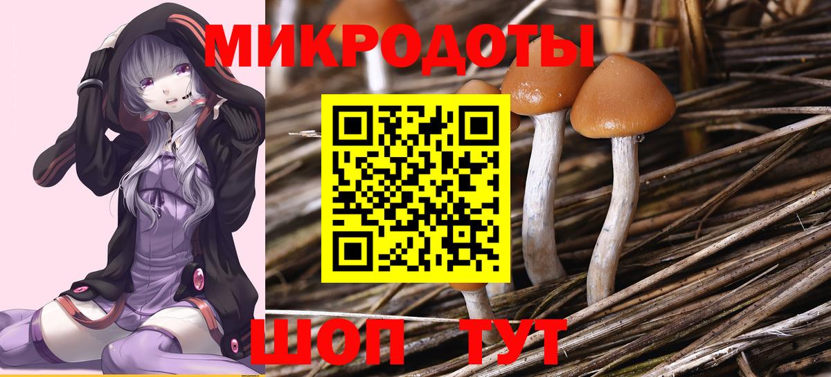 Галлюциногенные грибы мухоморы  Псилоцибиновые грибы Psilocybine cubensis  Россошь  Вход с VPN 
