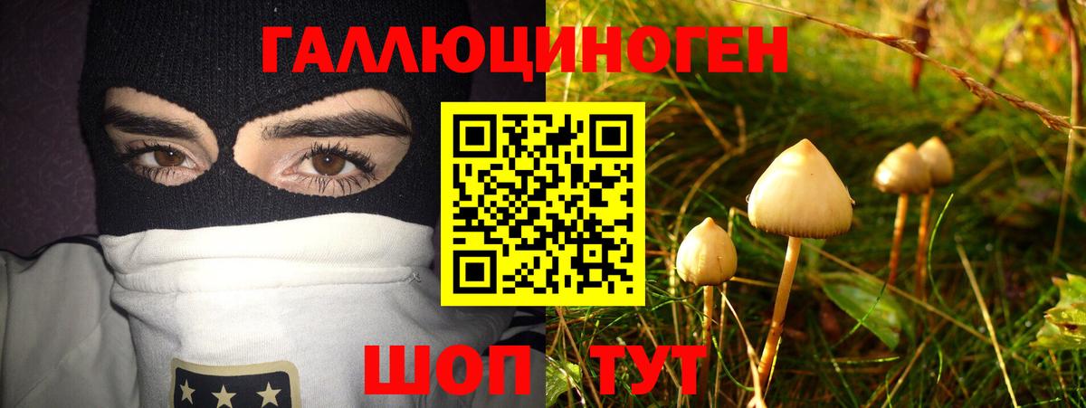 Галлюциногенные грибы ЛСД Россошь